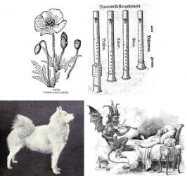 Image showing a poppy, a samoyed dog, recorders, and the Devil